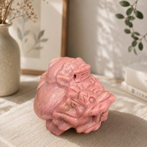 龍龜 母子龜 (粉天河)