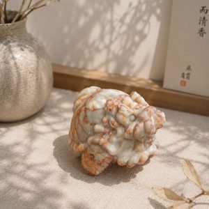 龍龜 紅網絡