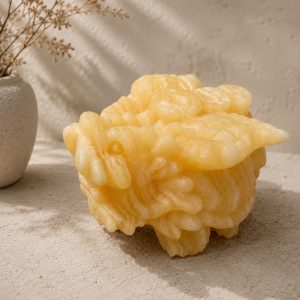 龍龜/黃方解